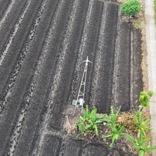 Galeri Project Sistem Anti Hama PT Terangin Terang Sedunia (4)