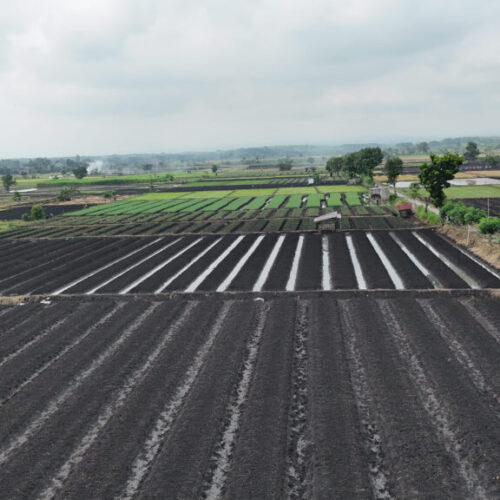 Galeri Project Sistem Anti Hama PT Terangin Terang Sedunia (5)