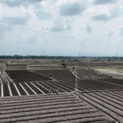 Galeri Project Sistem Anti Hama PT Terangin Terang Sedunia (8)