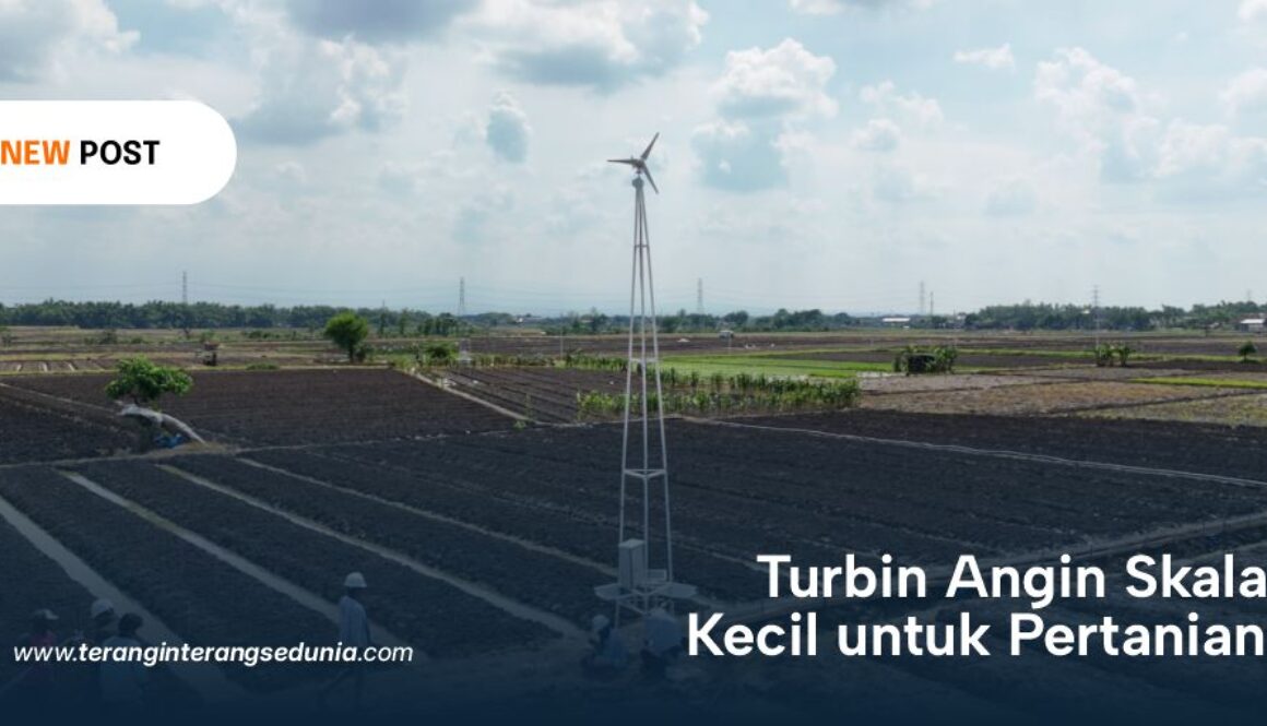 PT Terangin Terang Sedunia News1