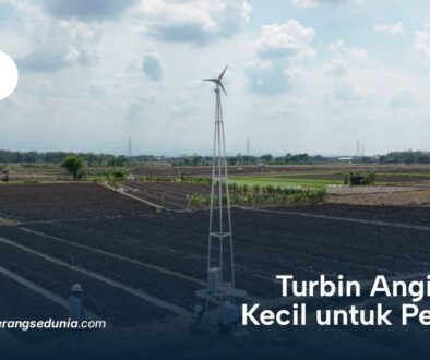 PT Terangin Terang Sedunia News1