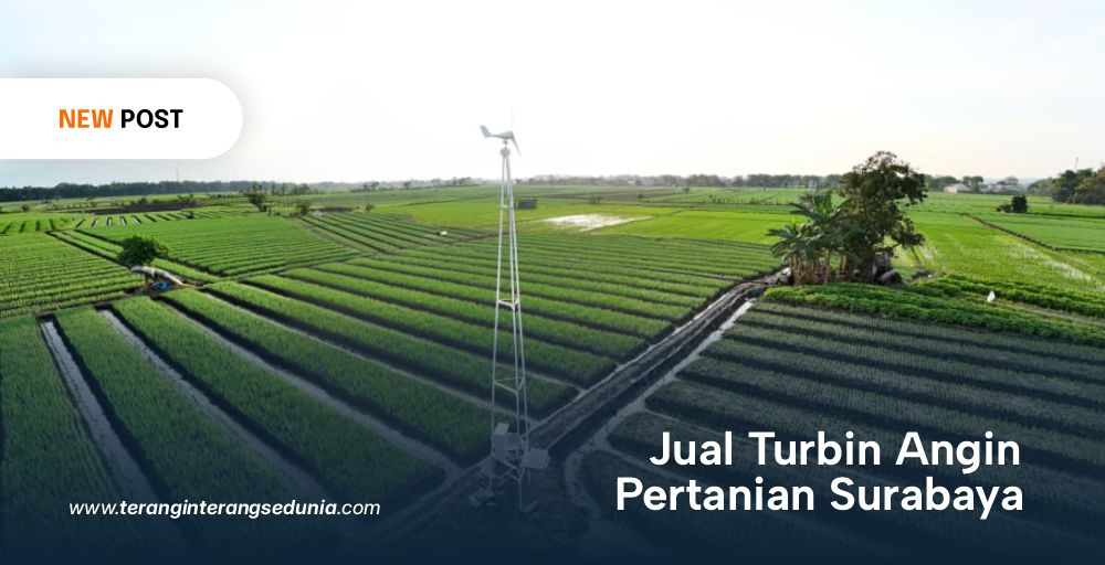 PT Terangin Terang Sedunia News2